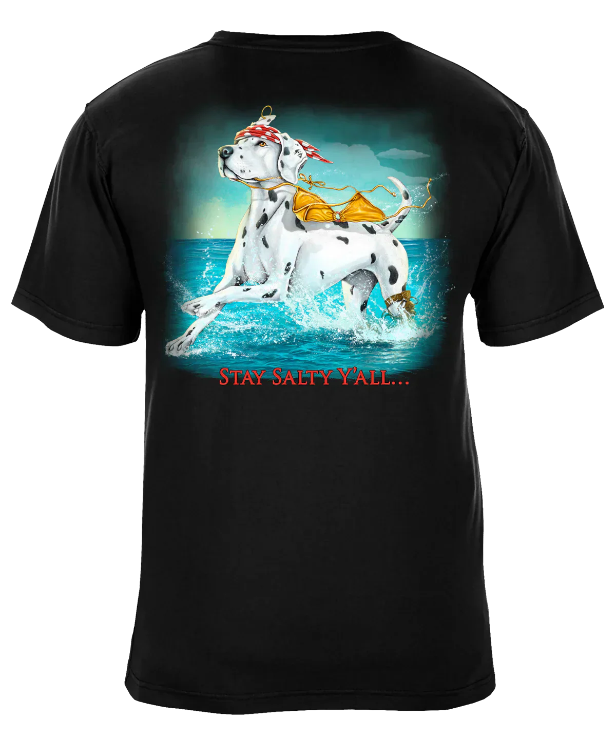 Stay Salty Y'All T-Shirt-NQD