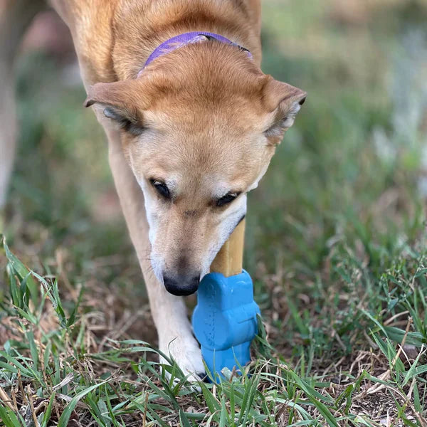 Yak Chew Holder-NQD