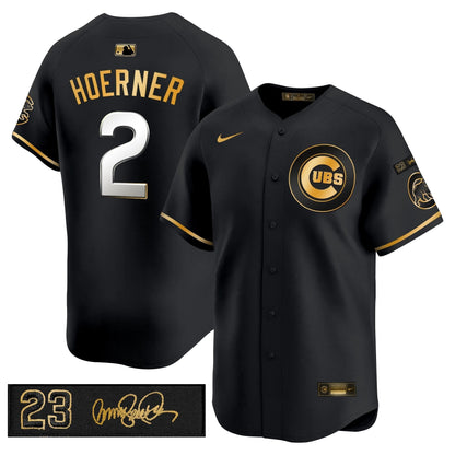 Men's Chicago Cubs 'Ryne Sandberg Tribute' Vapor Premier Limited Jersey V3 - All Stitched