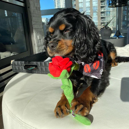 Plush Snuffle Rose Dog Toy | Interactive Treat Hiding-NQD